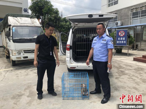 云南瑞丽森警巧用无人机破获一起野生动物案