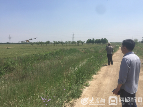 碣石山镇馆里村种植合作社使用无人机实施“飞防”作业