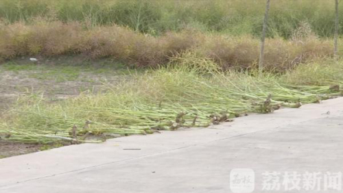 南通海门：秸秆禁烧巡查用上“千里眼”