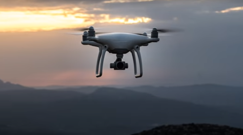 无人机和机器学习可探测蝴蝶地雷