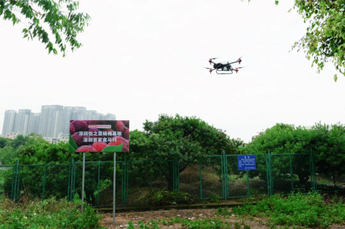 走进“盒马村”，看阿里和极飞如何打造智慧农场