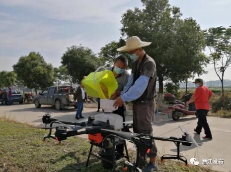 无人机飞播水稻受到职工青睐
