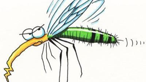 蚊子飞翼的秘密可用来提升无人机的安全飞行