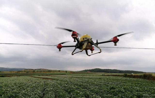 沾益播乐：无人机“亮相”助力马铃薯增产