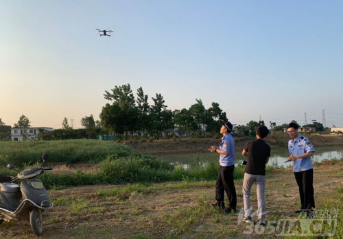 肥东一农户家的牛“离家出走” 警方出动无人机半小时寻回