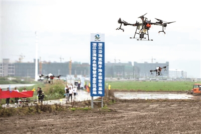 平地机、无人机助力海水稻播种插秧
