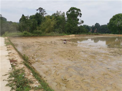江津：引进无人机播种技术 加快现代农业建设步伐