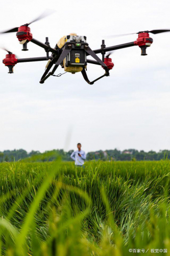 江西吉安：三夏时节，无人机“飞防”保夏粮丰收！