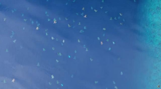 研究员利用无人机捕捉6.4万只绿海龟迁徙的壮观画面