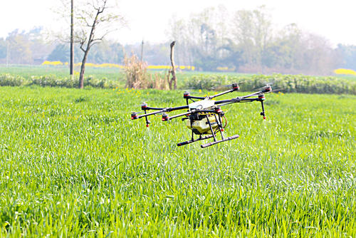 无人机为农作物喷洒植物营养液