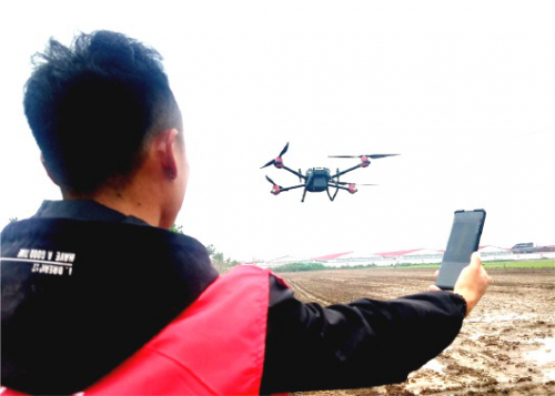 无人机“种”水稻