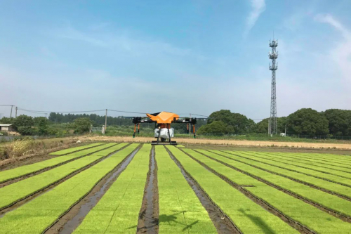 旺季来了，有哪些提升作业效率的小技巧？