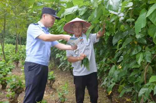 无人机航巡、田间地头普法……这项工作蜀黍们打出“连环拳”