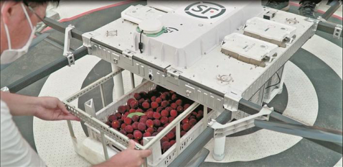 顺丰无人机搭载杨梅“出山”