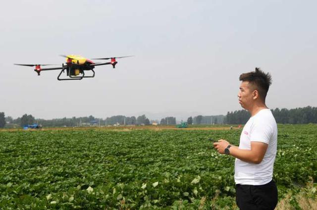 山亭：植保无人机助力田间管理