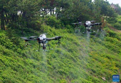 青岛使用无人机进行野外蚊蝇灭杀