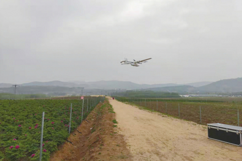 “扫毒无人机”自带芯片 能识别各种天气下的罂粟花 “鹰眼”扫毒，让“恶之花”无处绽放
