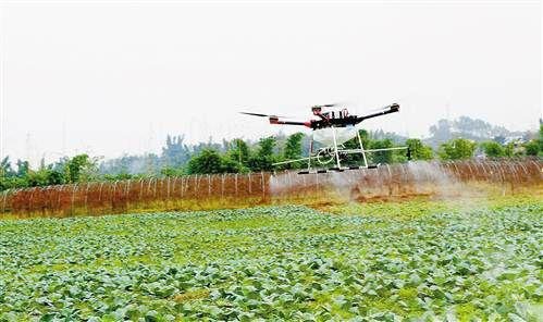 南平建瓯市采用无人机杀为蔬菜杀灭害虫 提高农药喷洒质量