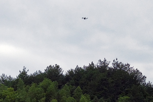 平江：采用无人机喷药防治松褐天牛