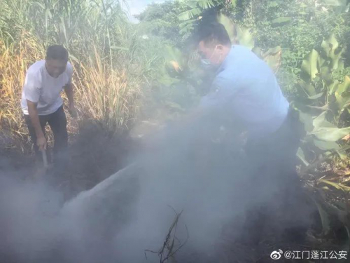 无人机护航高考！蓬江公安发现距考点1公里有浓烟冒出，10分钟扑灭！