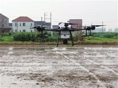 无人机助力晚稻播种 