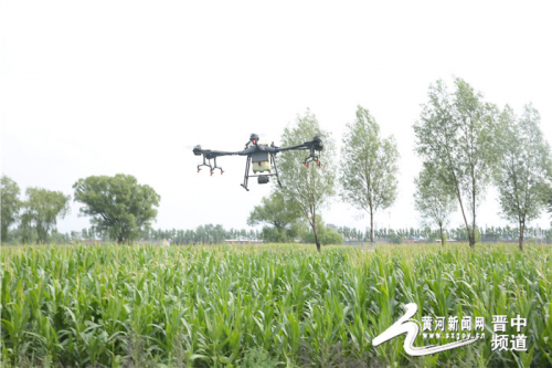 无人机变身“机械侠”为介休市义安镇北盐场村4000亩玉米除虫害