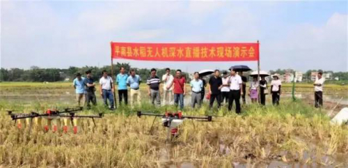 平南推广无人机水稻播种技术，1分钟播种一亩地！