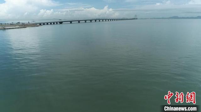 中华白海豚保护区巡护首次引入无人机高清航拍