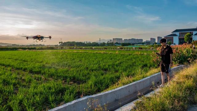 “95后”创业小伙：玩转无人机，助力新农业
