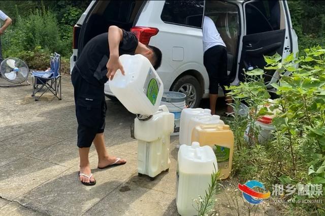 湘乡：无人机上阵剿灭“竹林杀手”