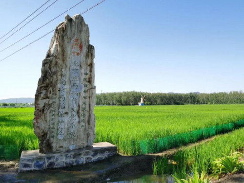 汇聚稻香小镇 看无人机如何守护稻田