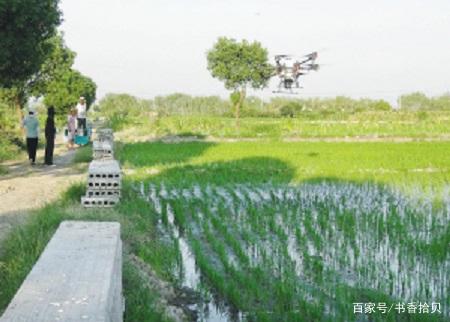 无人机效率高 施肥不惧高温