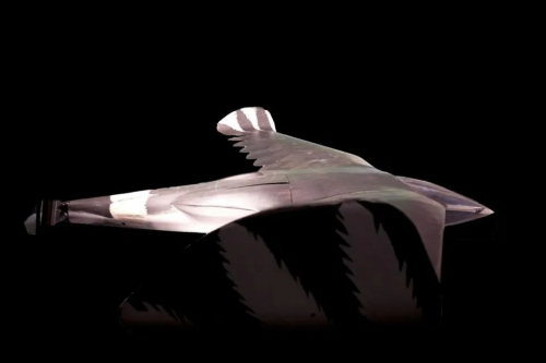 CIA解密：续航50天的冷战鸟形无人机