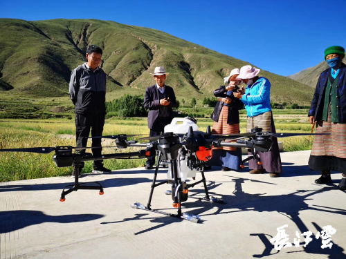 植保无人机“护航” 西藏琼结县粮食丰收