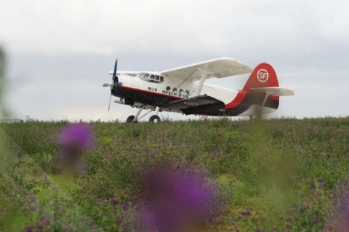 运五-B！国内首次将大型无人机用于物流场景