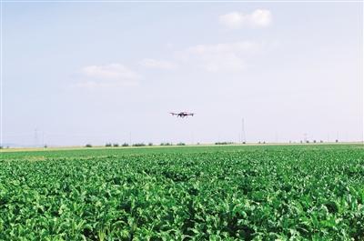 无人机助力科技兴农