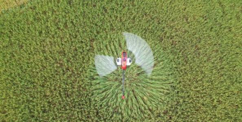 颗粒替代雾滴：植保无人机防治草地贪夜蛾的新方法