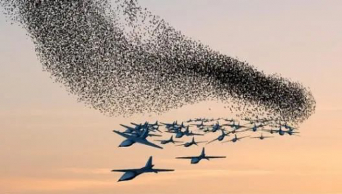 分布式无人机与无人机集群