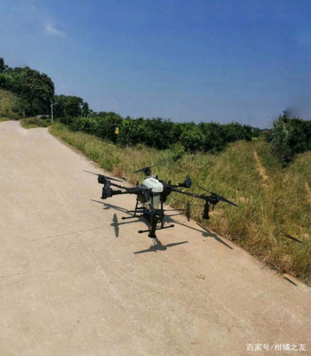 柑橘用无人机可代替人工喷药吗？