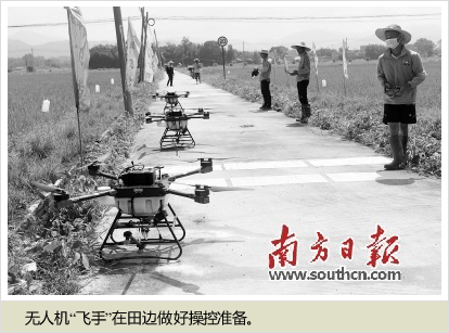 无人机让惠州农业“展翅高飞”