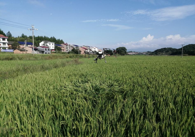 无人机飞防 引领农业新时代