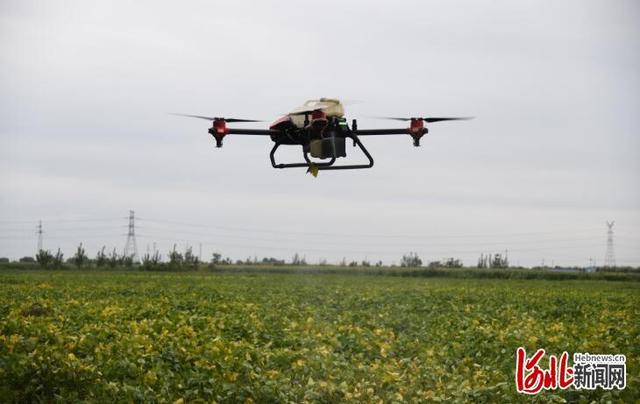 河北乐亭：农业无人机8分钟喷洒20亩地