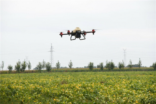 智慧农业：让人与土地的关系更和谐