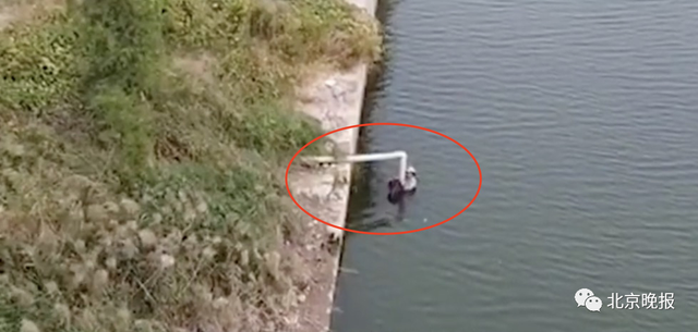 13岁少年试飞无人机发现老人落水！接下来的操作简直666！