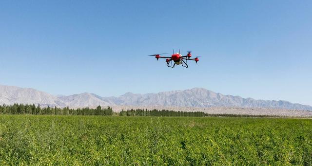 国庆期间，泉州市鲤城区启用无人机航拍，重点发觉这类行为！