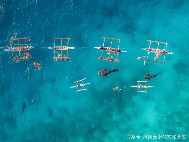 发现鸟瞰之美：全球无人机摄影大赛获奖作品