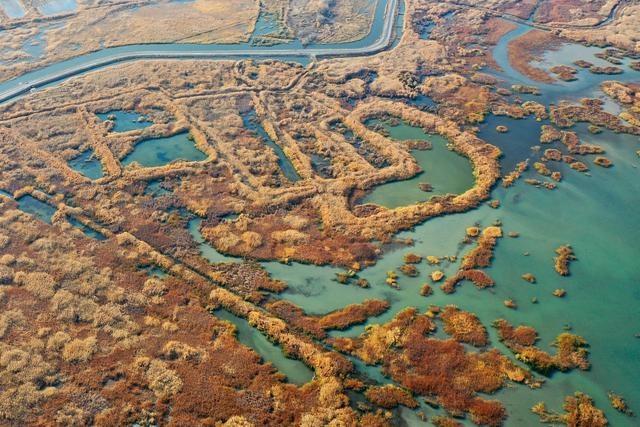 新疆玛纳斯：秋日湿地画卷