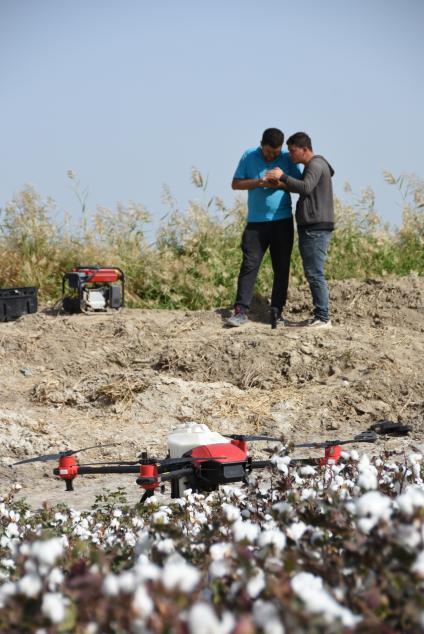 秋到塔里木，他们在棉田飞无人机