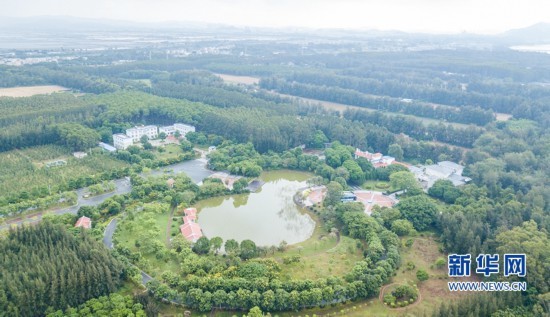 福建东山：红色精神铸就绿色丰碑