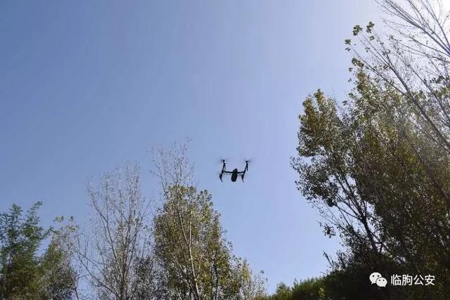 厉害了！临朐公安用无人机和警犬帮助群众找回16只羊！